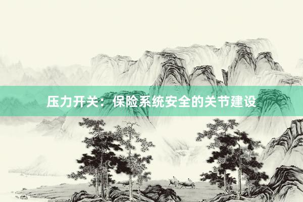 压力开关：保险系统安全的关节建设