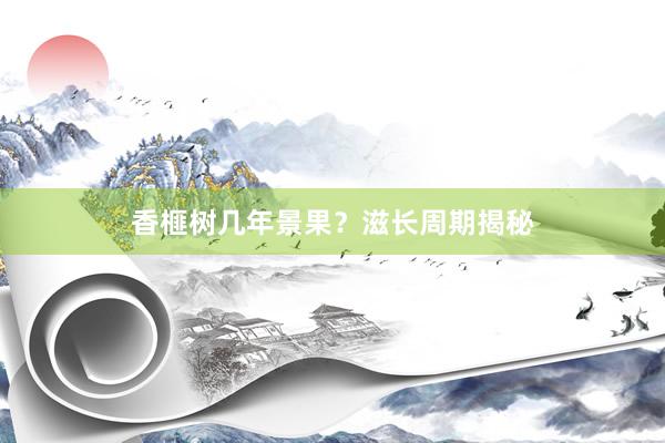 香榧树几年景果？滋长周期揭秘